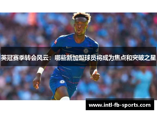英冠赛季转会风云：哪些新加盟球员将成为焦点和突破之星