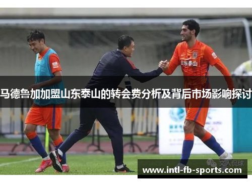马德鲁加加盟山东泰山的转会费分析及背后市场影响探讨 马德鲁加加盟山东泰山的转会费分析及背后市场影响探讨