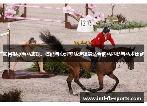 如何根据赛马表现、体能与心理素质选择最适合的马匹参与马术比赛